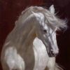 White Horse Portrait，White Horse Oil Painting ，Modern Animal Painting for Living Room