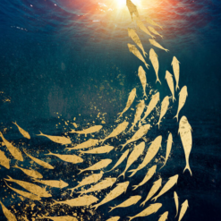 Ascending Fish in Ocean Currents: Dynamic Marine Oil Painting - Vibrant Seascape Artwork on Canvas
