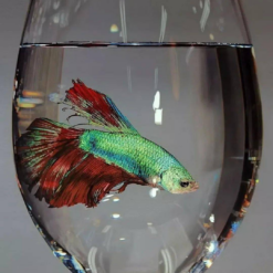 Fish in Glass Creative Oil Painting | Dafen Village Art Studio Masterpiece