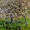 apple trees in bloom at giverny 19011.jpgLarge