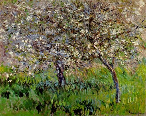 Monet’s Apple Trees in Bloom at Giverny 1900-1901 – High-Quality Reproduction for Living Room Art