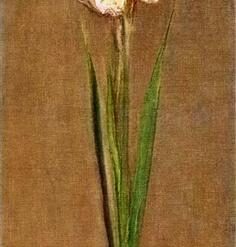 Impressionist Style Gladiolus Oil Painting by Claude Monet (1881) - Stunning Reproduction from Dafen Village Studio