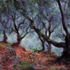 grove of olive trees in bordighera.jpgLarge
