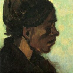Handcrafted Oil Painting of Vincent van Gogh's Head of a Brabant Peasant Woman with Dark Cap (1885) - Exclusive Art from Dafen Village