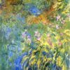 irises 3 1917.jpgLarge