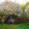 lilacs grey weather.jpgLarge