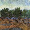 olive grove 1889 1.jpgLarge