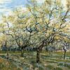 orchard with blossoming plum trees 1888.jpgLarge