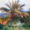 palm tree at bordighera.jpgLarge