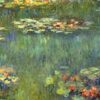 pool with waterlilies 1920.jpgLarge