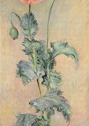 Premium Reproduction of Claude Monet's Red and Pink Poppies (1883) – Fine Art Oil Painting from Dafen Village