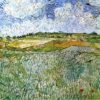 the plain at auvers 1890.jpgLarge