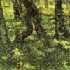 trunks of trees with ivy 1889.jpgLarge