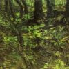undergrowth with ivy 1889.jpgLarge