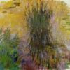 water lilies 1917 10.jpgLarge
