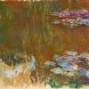 water lilies 1919 7.jpgLarge
