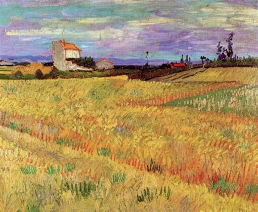 Camp de blé par Vincent van Gogh - 1888 Reproduction de peinture à l'huile