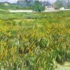wheat field at auvers with white house 1890.jpgLarge