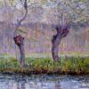 willows in springtime 1.jpgLarge 1