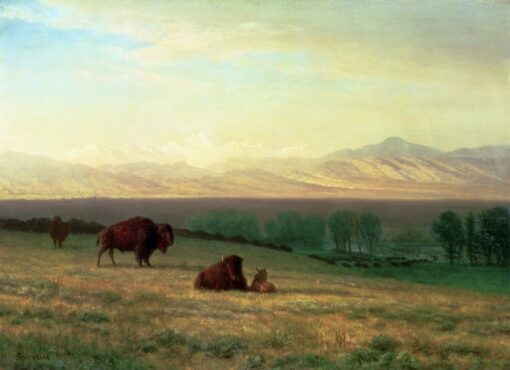 Romantic Landscape Masterpiece – Buffalo on the Plains, c.1890 by Albert Bierstadt, High-Quality Replica