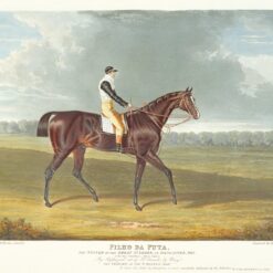 Equestrian Art – Filho da Puta, 1815 Great St. Leger Winner by John Frederick Herring Senior, High-Quality Replica