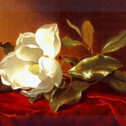 A Magnolia on Red Velvet by Martin Johnson Heade – Handcrafted Realism Art Reproduction