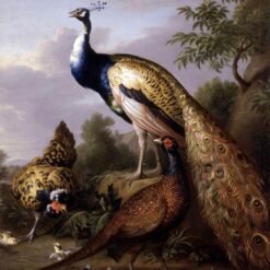 Peacock, Hen and Cock Pheasant in a Landscape – Baroque Masterpiece by Tobias Stranover, Oil Painting Replica