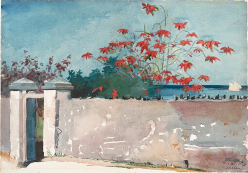 Winslow Homer’s A Wall, Nassau – 1898 Realist Watercolor Painting Replica