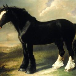 William Shiels’ Old English Black Horse – Romanticism Animal Painting Replica