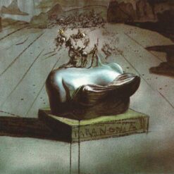 Surrealist Symbolic Painting Inspired by Salvador Dali's "Paranoia" – Intriguing and Thought-Provoking Art