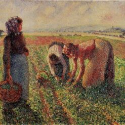 Picking Peas" (c.1893) – Impressionist Painting of Rural Labor by Camille Pissarro