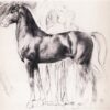 study for semiramis building babylon 1861.jpgLarge