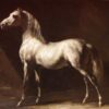 Romanticism Horse Study: Study of a Dapple Grey by Théodore Géricault – Oil Reproduction on Canvas