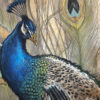 Majestic Peacock Oil Painting - Customizable Handcrafted Artwork by Dafen Artists