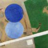 composition with circles and goat 1920.jpgLarge