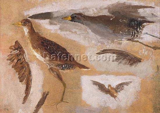 Dafen Village Inspired Reproduction of Thomas Eakins’ “Studies of Game Birds, probably Virginia Rails” – High-Quality Realist Sketch and Study Oil Painting for Sale, Great for Art Collections and Interior Designers Seeking Nature-Inspired Artworks