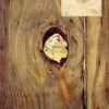 High - Quality Reproduction of "The Peephole" by Norman Rockwell - 1958 - Inspired Dafen Village Canvas Oil Painting