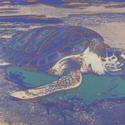 Stunning Hand - painted Oil Painting of 'Turtle' INSPIRED BY Andy Warhol's 1985 Pop Art Animal Masterpiece, from Dafen Village for Art Lovers with a Fondness for Whimsical Wildlife Art
