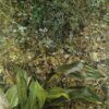 Exquisitely Hand - Painted "Two Plants" Inspired Contemporary Realism Landscape Oil Painting by Dafen Village Studios - A Mesmerizing Artwork for Art Aficionados