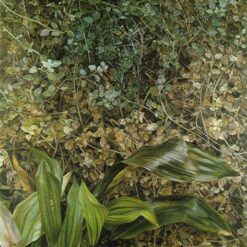 Exquisitely Hand - Painted "Two Plants" Inspired Contemporary Realism Landscape Oil Painting by Dafen Village Studios - A Mesmerizing Artwork for Art Aficionados