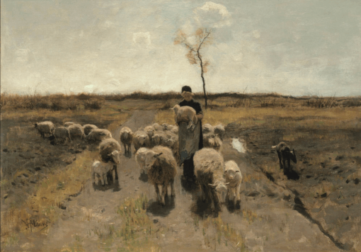 Anton Mauve “Newborn Lambs” – Hand-Painted Oil Painting Reproduction | Dafen Oil Painting Studio