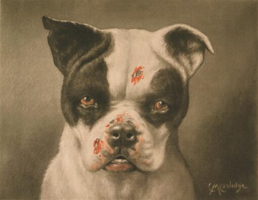 Cassius Marcellus Coolidge “I’m a Bad Dog! What Kind of a Dog Are You?” (1895) – Hand Painted Oil Painting | Kitsch Dog Wall Art