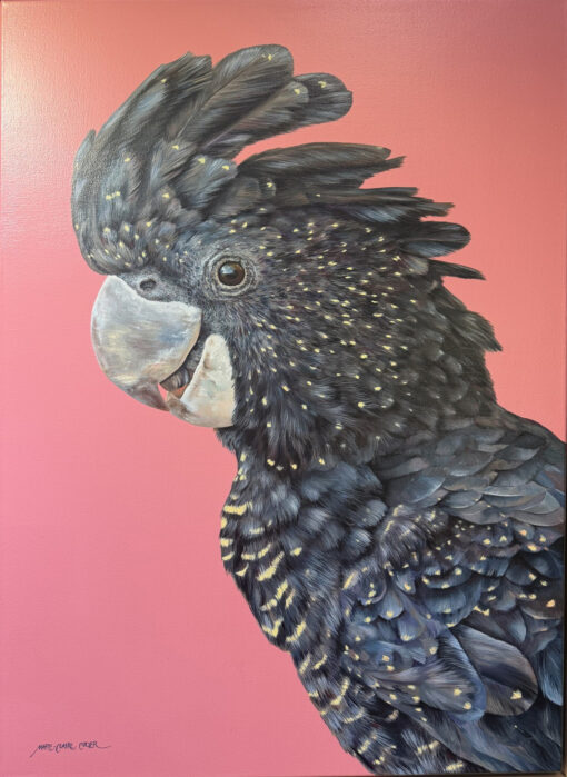 Majestic Black Cockatoo” Hand-Painted Australian Bird Oil Painting on Linen Canvas