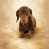 Custom Dachshund Oil Painting – Hand-Painted Classical Dog Pet Portrait on Canvas 1 Hand-painted custom oil painting portrait of a brown smooth Dachshund on warm neutral textured canvas