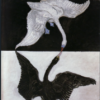 Hilma af Klint The Swan No. 1 (1914–1915) Expressionist Art – Hand-Painted Oil Reproduction by Dafen Village Studio 1 Hilma af Klint, «El cisne n.º 1», 1914-1915: reproducción de un cuadro expresionista abstracto al óleo pintado a mano, realizada por Dafen Village Studio