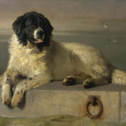 Hand-painted oil reproduction of Edwin Henry Landseer's 1831 painting A Distinguished Member of the Humane Society showing a Newfoundland dog resting on aquay.