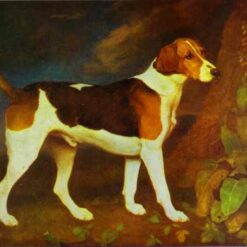 Reproduction peinte à la main à l'huile de l'œuvre « A Foxhound, Ringwood 1792 » de George Stubbs, réalisée par Dafen Village Studio