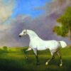 George Stubbs / A Grey Horse (1793) Romanticism – Hand-Painted Oil Reproduction by Dafen Village Studio 1 Hand-painted oil painting reproduction of A Grey Horse 1793 by George Stubbs by Dafen Village Studio