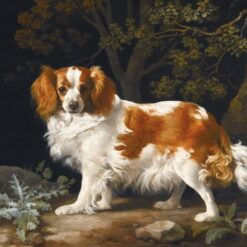 Reproduction à l'huile peinte à la main de l'œuvre « Un King Charles Spaniel brun et blanc dans un paysage boisé » (1776) de George Stubbs, réalisée par Dafen Village Studio