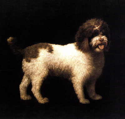 George Stubbs / A Water Spaniel Romanticism – Hand-Painted Oil Reproduction by Dafen Village Studio